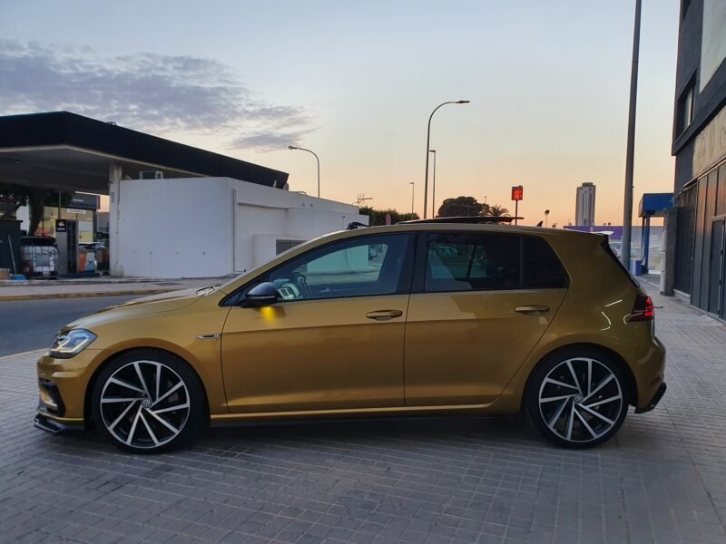 VOLKSWAGEN Golf R310