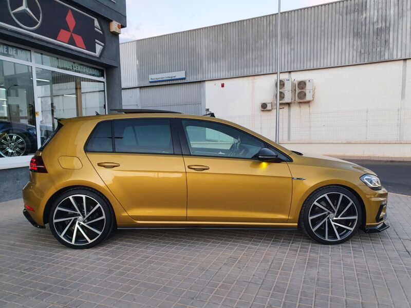 VOLKSWAGEN Golf R310