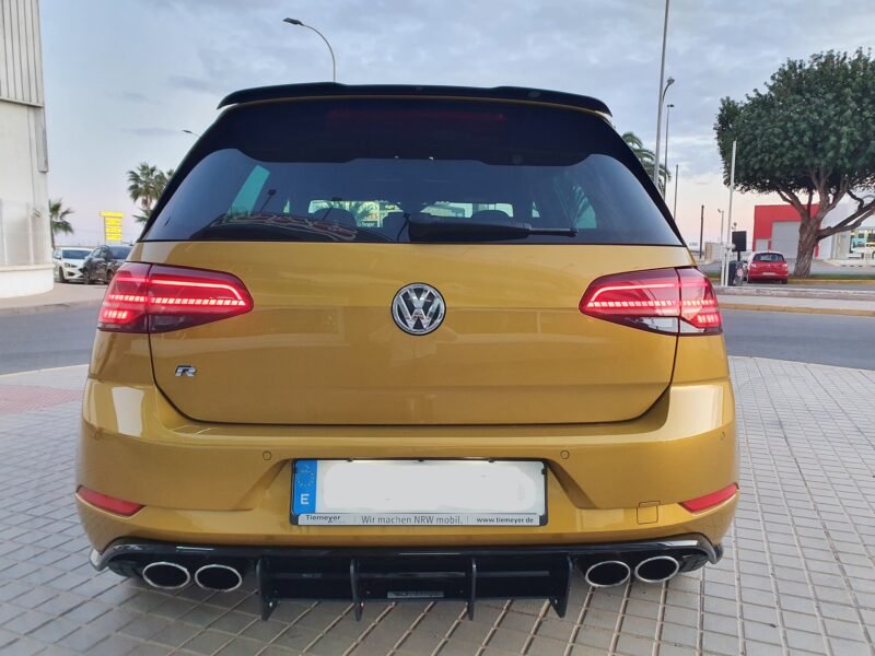 VOLKSWAGEN Golf R310