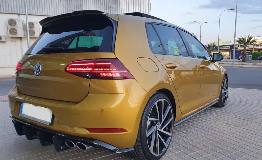 VOLKSWAGEN Golf R310