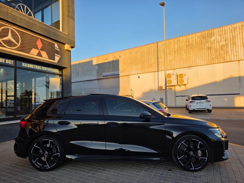 AUDI RS3 PERFORMANCE